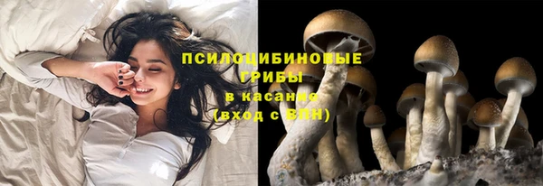 бутират Алзамай
